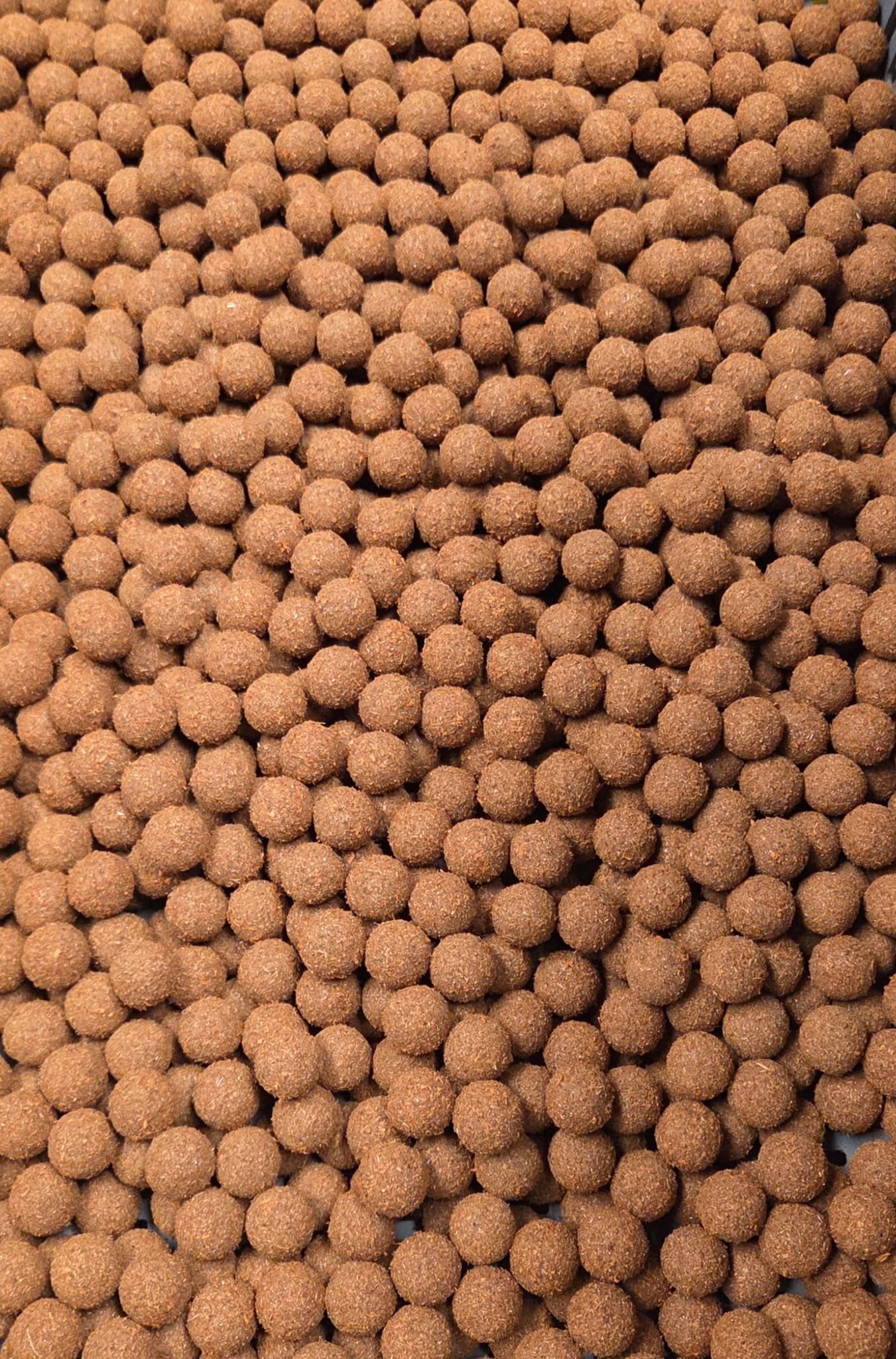 Heavy Hookbaits